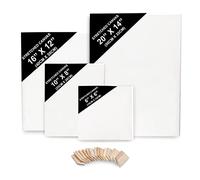 BELLE VOUS 4pz Set Tele per Dipingere - Tela per Dipingere da 15 x 15 cm, 20 x 25 cm, 30 x 40 cm, 35 x 50 cm - Tela da Dipingere Pre-Allungata con Cunei - Tela Pittura ad Olio e Acrilica