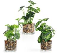 Belle Vous Piante Finte in Plastica con Vasi in Vetro Trasparente (3pz) - Piante