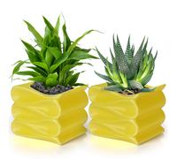 BELLE VOUS Set Vaso Ceramica Gialli (2pz) - Vasetti per Piantine Grasse da 10 cm