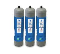 BELLEROFONTE Bombola co2 per gasatore 600 gr usa e getta attacco M11x1 per erogatori - gasatori acqua frizzante, contenitore in acciaio N° 3 Bombole