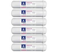 Bellerofonte Filtro in linea a Carbone attivo 12 Pollici micron 5 - In - Out ¼” (6 cm) filettato FF, 6 pezzi
