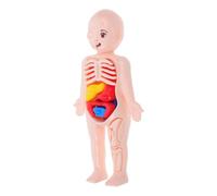BELLIFFY Modello Anatomico Corpo Umano con Organi Smontabili per Kit Didattico di Anatomia per Ragazzi e Ragazze Gioco Educativo per Sviluppo Abilità Motorie e Studio del Corpo Umano Casa