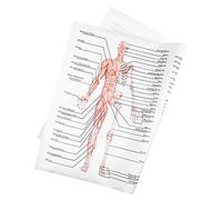 BELLIFFY Poster Di Anatomia Umana 50x70 Cm Su Tessuto Di Seta, Immagine Didattica Scheletrica e Muscolare Per Scuole e Laboratori, Pittura Della Struttura Del Corpo Per Apprendimento Medico