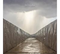 Bellini Before the Day Has Gone (Vinyl LP) 12" Album