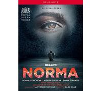 Norma: Royal Opera House (Pappano) (DVD)