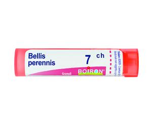 Bellis Perennis 7ch Granuli Multidose Boiron