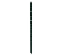 Bellissa Supporto per Piante Rampicanti, Verde, 3 x 3 x 100 cm, Spessore: 1,5 mm