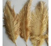 Bellissima piuma di struzzo dorata 10 pezzi lunghezza piuma 6-8 pollici / 15-20 cm Costumi da sposa fai da te e decorazioni per cappelli-predefiniti