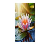 Bellissime coperture per porta d'ingresso con ninfea e sole, striscione per porta di benvenuto, grande sfondo divertente, decorazioni per appendere interni ed esterni e buoni regali di primavera per