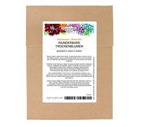 Bellissimi fiori secchi - set di semi con 6 varietà molto popolari per ghirlande e composizioni floreali