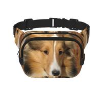 Bellissimo cane di razza Sheltie, Marsupio quadrato a doppio strato, borsa da viaggio, marsupio casual
