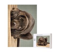 Bellissimo e adorabile cucciolo di Labrador cioccolato, dolce e carino.,Puzzle in legno da 300 pezzi per adulti e adolescenti