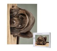Bellissimo e adorabile cucciolo di Labrador cioccolato, dolce e carino.,Puzzle in legno da 500 pezzi per adulti e adolescenti