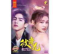 Bellissimo fiore reborn 彼岸花 (VOL.1 - 50 End) ~ Tutte le regioni ~ DVD di regi...