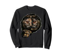 Bellissimo Gatto tartarugato con Occhi d'ambra Che sbirciano Attraverso Felpa