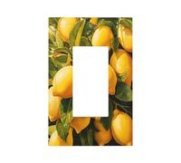 Bellissimo interruttore della luce abbondante di limoni copertura della piastra frontale singola Rocker 1 Gang Decoratore Presa Coperture per la casa Cucina Camera Bagno Decor