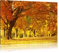 bellissimo paesaggio autunnale Stampa su tela 60x40 cm artistica murale