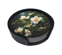 Bellissimo set di sottobicchieri eleganti con fiori di camelia, 6 sottobicchieri in pelle PU ultra morbida con scatola portaoggetti, facili da pulire e resistenti alle macchie, perfetti per casa