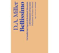 Bellissimo. Un'analisi dei «Segreti di Brokeback Mountain» e di «Chiamami col tuo nome»