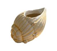 Bellissimo vaso in resina a forma di conchiglie marine, per piccole piante, funziona anche come portapenne o pezzo decorativo per vasi decorativi da tavolo da studio