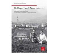 Belluno nel Novecento. Antonio e Flavio dalle Mule tra socialismo, azionismo e socialdemocrazia. Ediz. illustrata