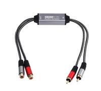 BELOWSYALER Isolatore acustico a 2 canali in metallo con filtro acustico a terra che migliora la chiarezza del suono nel canale dell'isolamento delle apparecchiature professionali