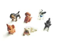 BELTI 6pcs 1:12 casa delle Bambole Gatto e Cane Modello in Miniatura casa delle Bambole Decorazione Muschio casa