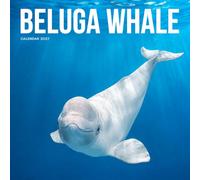 Beluga Whale Calendar 2027: Marine Wildlife and Ocean Scenes