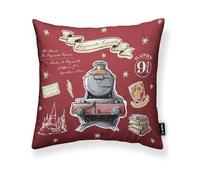 BELUM | Federa per cuscino 100% cotone 45 x 45 cm Modello Hogwarts Express A | Federa per cuscino Looney Tunes | Federa per cuscino Tessuto Half Panama 100% cotone organico