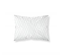 BELUM | Federa per cuscino 100% cotone, modello Blenheim da 80 x 80 cm