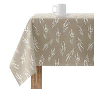 BELUM | Tovaglia 200 x 140 cm Antimacchia 100% cotone resinato, Tovaglia non cerata, Tovaglia al tatto in cotone, Tovaglia impermeabile, antimacchia, idrorepellente