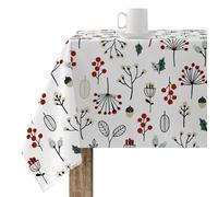 BELUM | Tovaglia Natale | Tovaglia antimacchia, tavolo rettangolare in resina | Tovaglia resinata (Tatto plastificato) | Tovaglia da tavolo | Tovaglia da casa (100 x 140 cm)