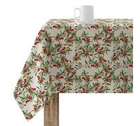 BELUM | Tovaglia Natale | Tovaglia antimacchia, tavolo rettangolare in resina | Tovaglia resinata (Tatto plastificato) | Tovaglia da tavolo | Tovaglia da casa (100 x 140 cm)