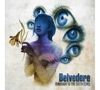 Belvedere Hindsight Is the Sixth Sense (Vinyl LP) 12" Album