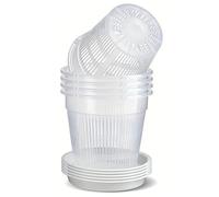 Bemonew Vasi per orchidee con fori, confezione da 6 vasi trasparenti per orchidee con fori e piattini, pianta in plastica traspirante da 14 cm, per rinvasare con design di guida alle radici