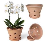 Bemonew Vasi per orchidee con fori e sottovasi vasi in terracotta per orchidee da rinvasare fioriera per interni ed esterni che favorisce la circolazione dell'aria 6, 1 * 4, 5 pollici