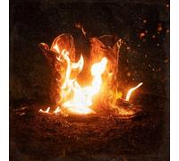 Ben Fuller Walk Through Fire (CD)