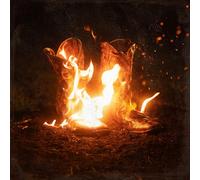 Ben Fuller Walk Through Fire (Vinyl LP)