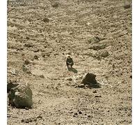 Ben Howard Noonday Dream Explicit Lyrics (CD)