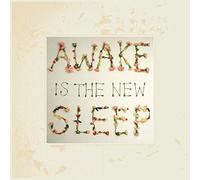 Ben Lee Awake Is the New Sleep (Vinyl LP) 10th Anniversary 12" Album