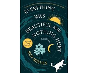 Ben Reeves Everything Was Beautiful and Nothing Hurt (Copertina rigida)