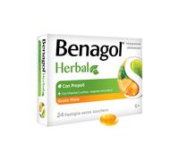BENAGOL HERBAL MIELE 24PAST
