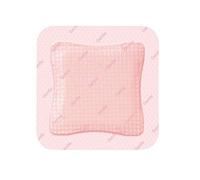 Benda ALLEVYN Gentle Border Lite 7,5x7,5cm 10 pezzi