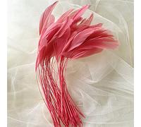 Bene Omnia naturale sciolto spogliato Coque piume per Millinery & Fascinators cappello fare copricapo costume tinto Gallo piuma 12,7-17,8 cm (# 39 Coral, 50 pezzi)