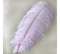 Bene Omnia Piume di struzzo 40-45 cm Decorazione per la casa di nozze Decorazione acchiappasogni Ornamento Piuma Naturale Millinery