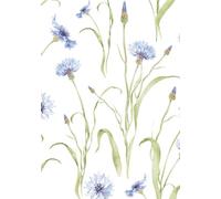 Beneath the Blossoms : A Notebook for Notes, Reflections, and Rest