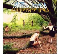 beneath the desert floor chapter 2 glitter wizard: hunting gatherers (Vinyl LP)