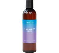 Benecos Natural Basics Shampoo Sensitive