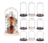 BENECREAT 15 Set Mini Cupola A Cloche in Vetro Trasparente Cupola A Cloche con Display in Vetro da 40/50/60 mm con Campana A Cloche in Legno Massello A 3 Colori per Decorazioni Floreali