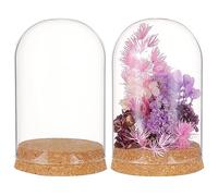 BENECREAT 2 Set Cupola Espositiva In Vetro con Base In Sughero, Centrotavola Da Tavolo con Campana A Cloche Da 80x117.5 mm per Piante Da Fiore, Esemplari, Diametro Interno: 76mm